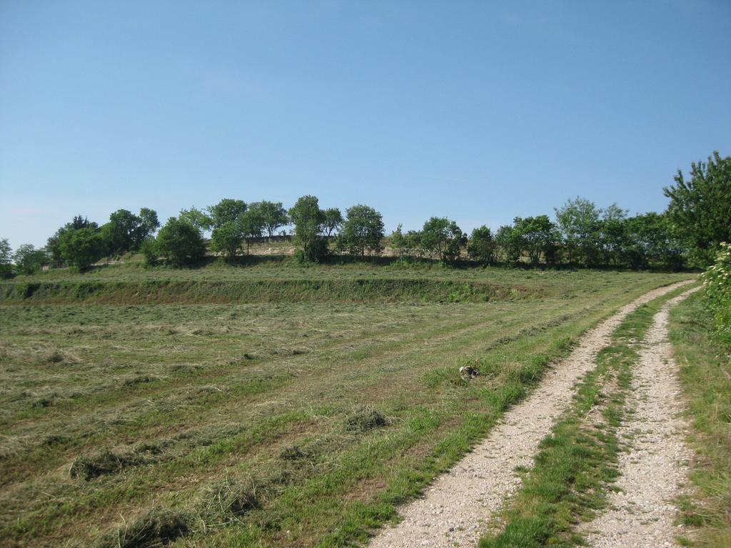 Agriturismo Campagnoletto Cavriana Zimmer foto